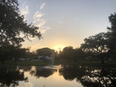 Enlarge photo 66