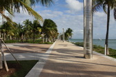 Enlarge photo 61
