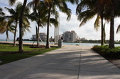 Enlarge photo 65
