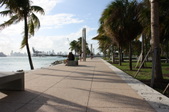 Enlarge photo 66