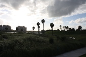 Enlarge photo 123