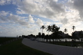 Enlarge photo 158