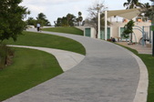 Enlarge photo 187