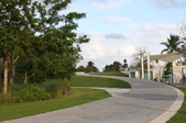 Enlarge photo 197
