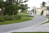 Enlarge photo 203