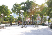Enlarge photo 41