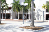 Enlarge photo 49