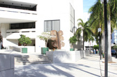 Enlarge photo 61
