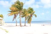 Crandon Park