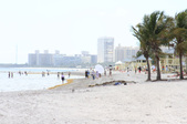 Enlarge photo 33