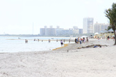 Enlarge photo 34