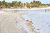 Enlarge photo 35