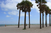 Enlarge photo 43