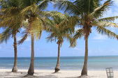 Enlarge photo 46