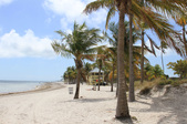 Enlarge photo 47