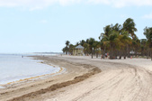 Enlarge photo 51