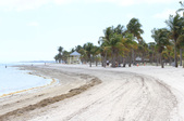 Enlarge photo 52