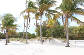 Enlarge photo 53
