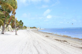 Enlarge photo 54