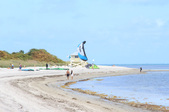 Enlarge photo 55