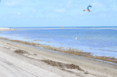 Enlarge photo 56