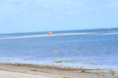 Enlarge photo 57