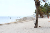 Enlarge photo 58