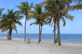 Enlarge photo 59