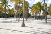 Enlarge photo 86