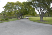 Enlarge photo 91