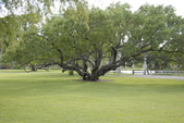 Enlarge photo 92