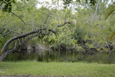 Enlarge photo 94
