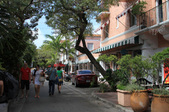 Enlarge photo 31