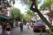 Enlarge photo 32