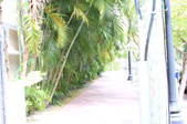 Enlarge photo 39