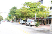Enlarge photo 41