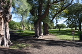 Grove Park