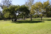 Enlarge photo 41