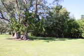 Enlarge photo 44