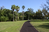 Enlarge photo 45