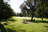Enlarge photo 50