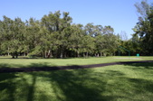 Enlarge photo 51
