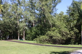 Enlarge photo 53