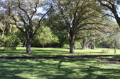Enlarge photo 54