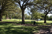 Enlarge photo 56
