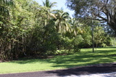 Enlarge photo 57