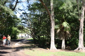 Enlarge photo 58