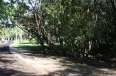 Enlarge photo 59