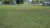 Enlarge photo 50
