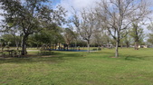 Enlarge photo 35